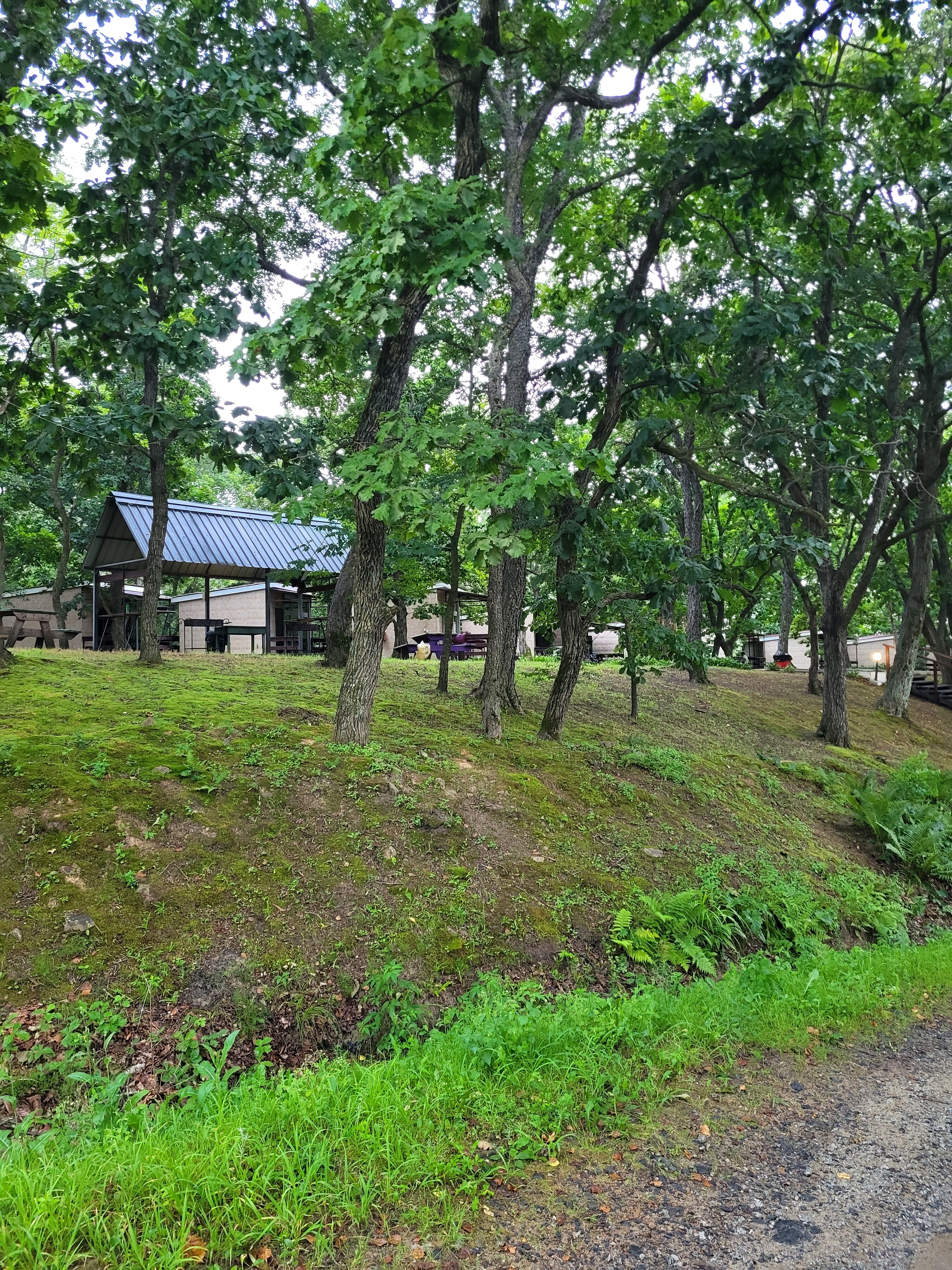 Фото Ковчег