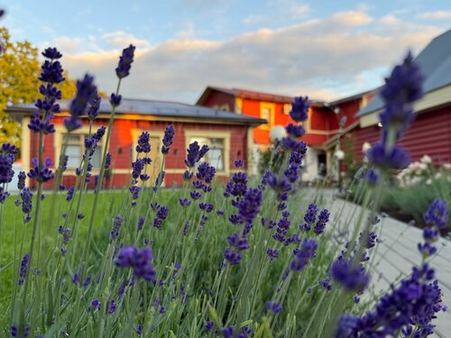 Гостевой дом Царедворье в Суздале