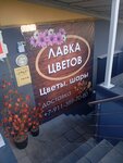Лавка цветов (Izhorskogo Batalyona Street, 7), flower shop