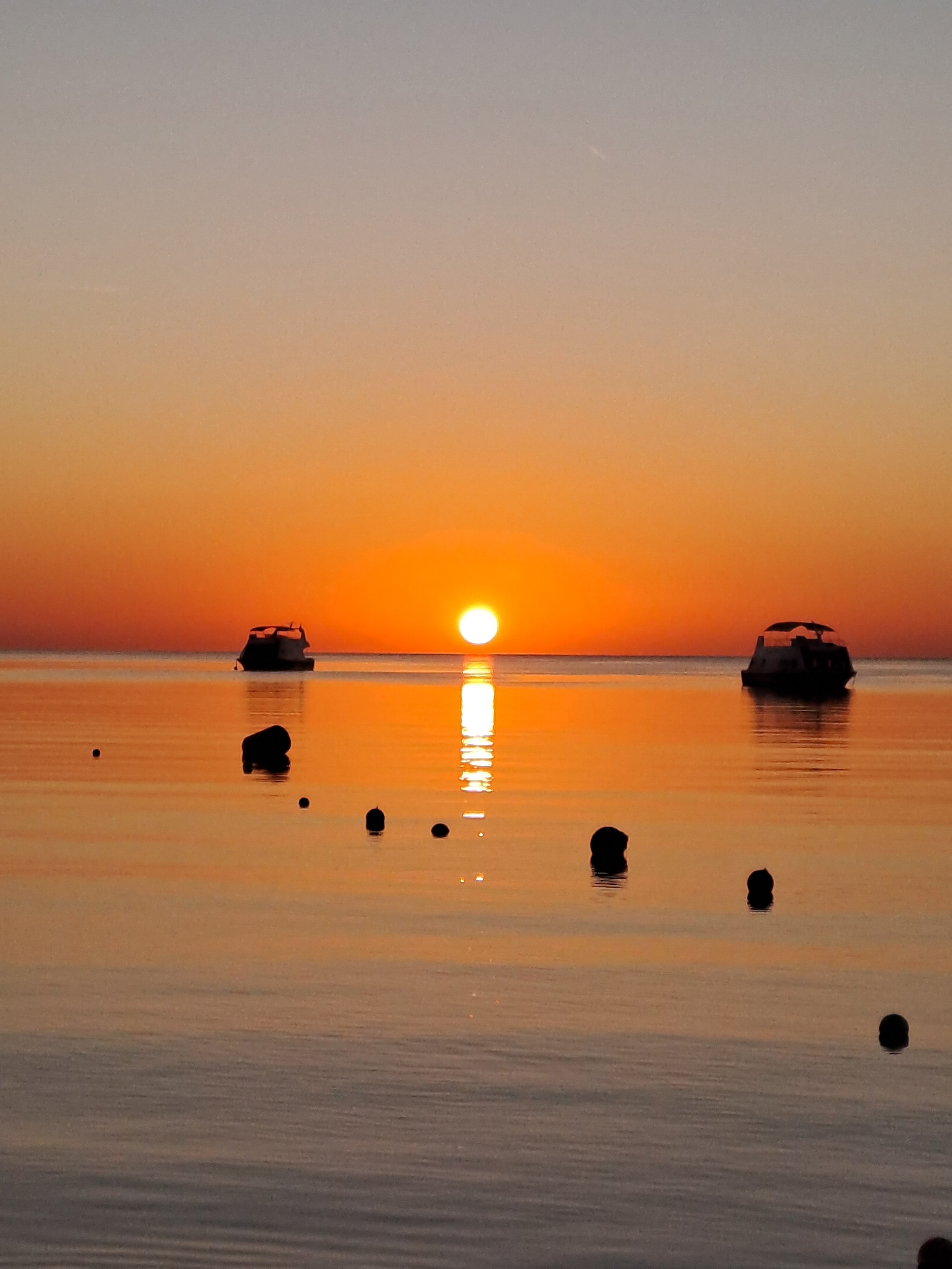 Фото Jaz Fayrouz