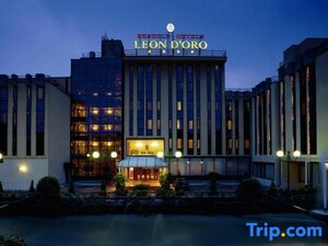 Гостиница Hotel Leon D