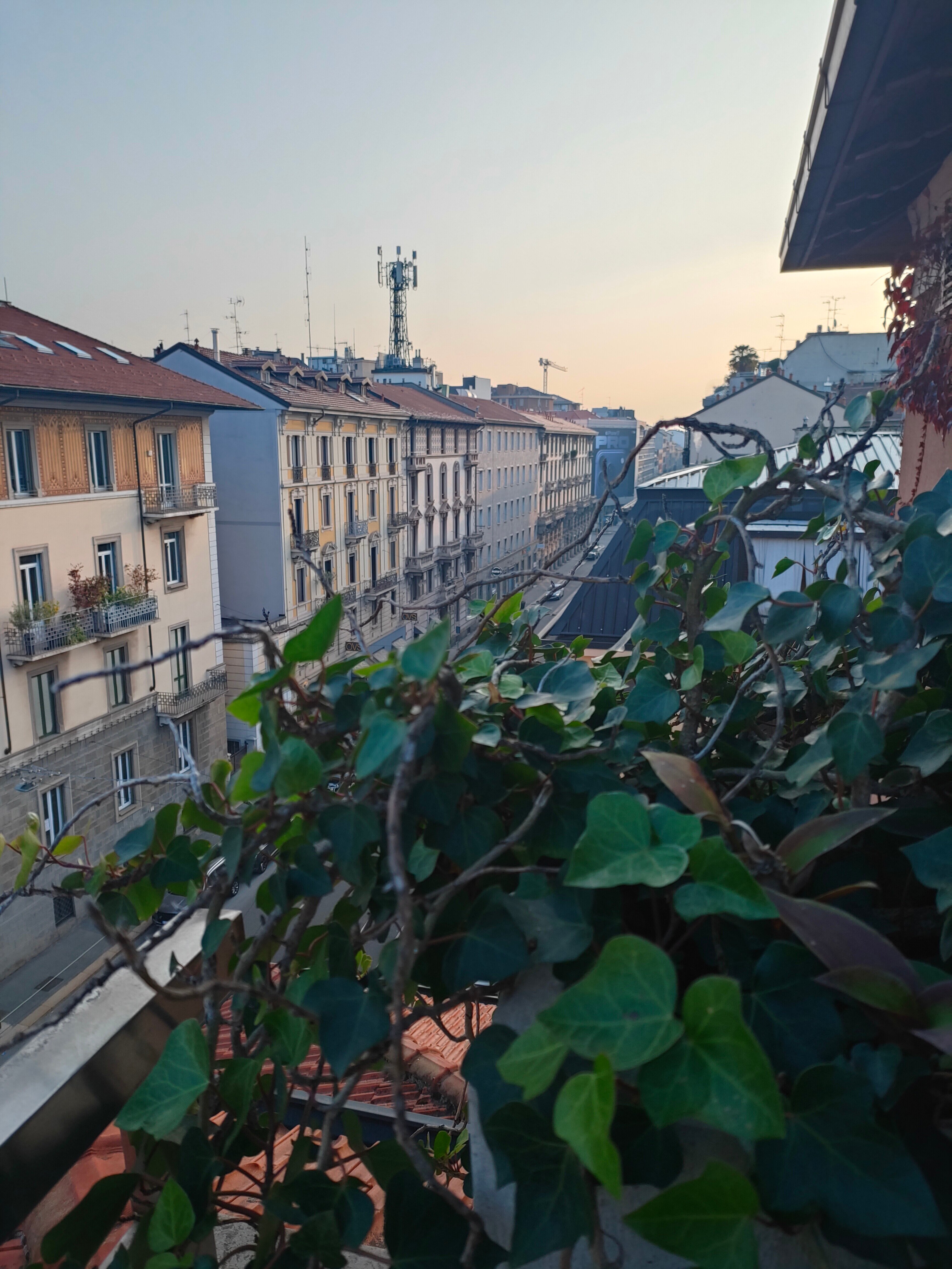 Фото Metro Hotel