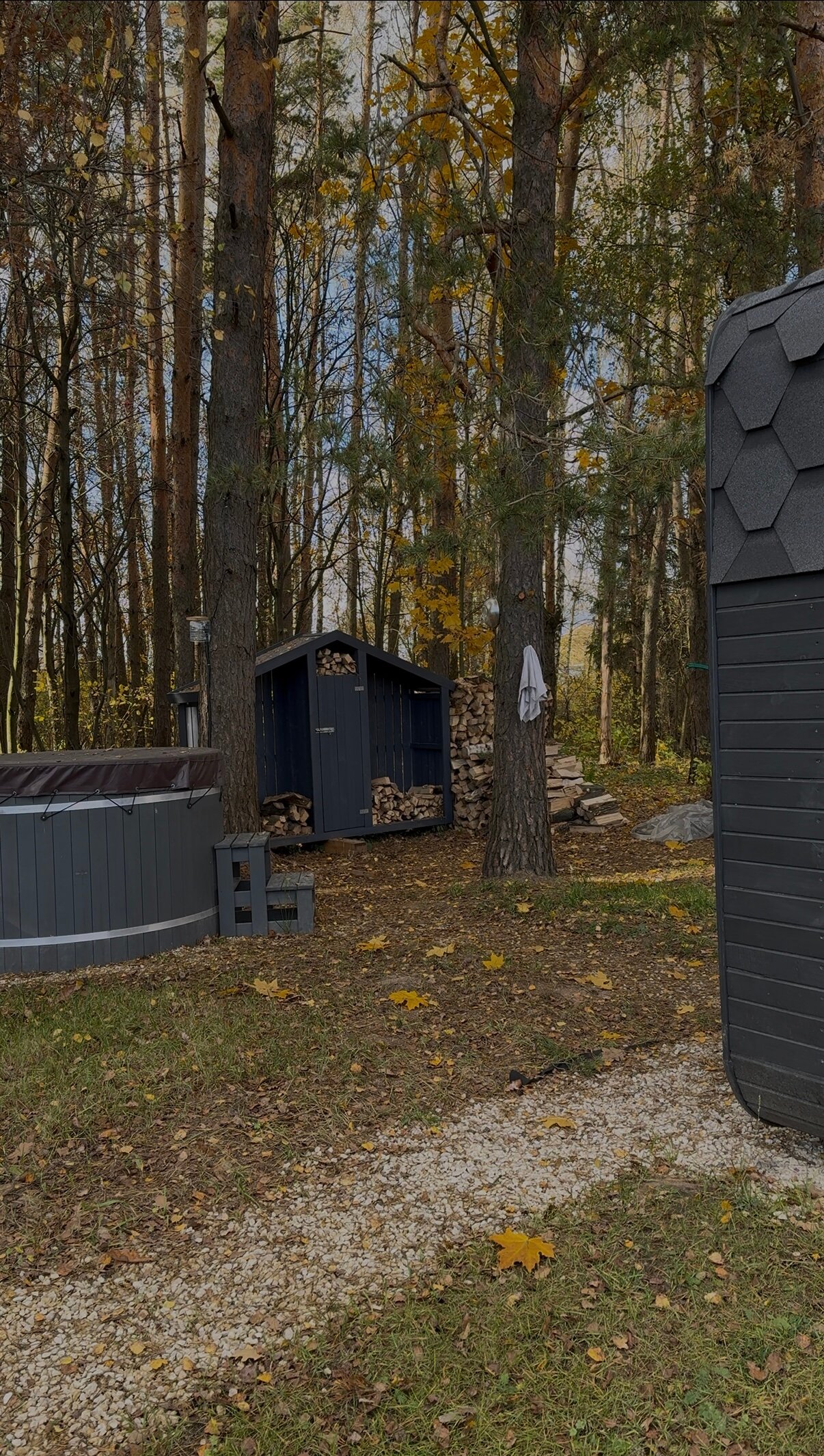 Фото Южный Бор