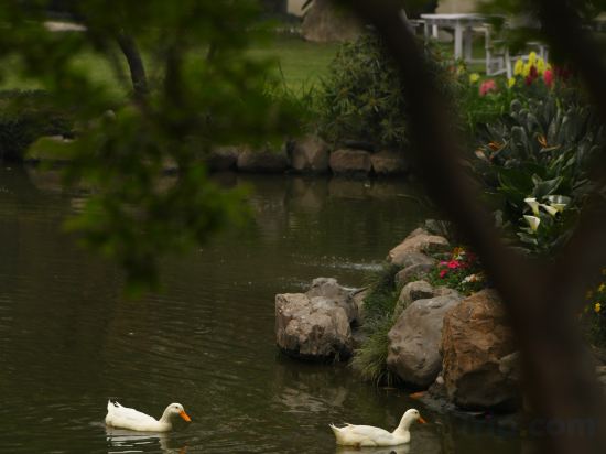 Фото Hotel Yak & Yeti