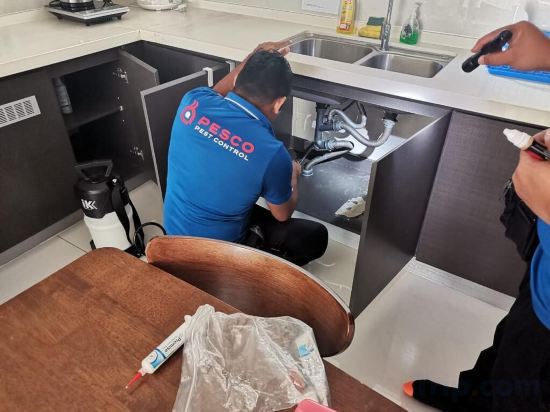 Фото Amberside Country Garden Danga Bay