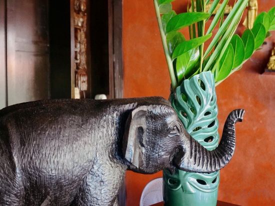 Фото LePrive Resort