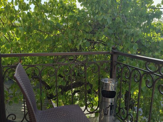 Фото Tourist Inn Hotel