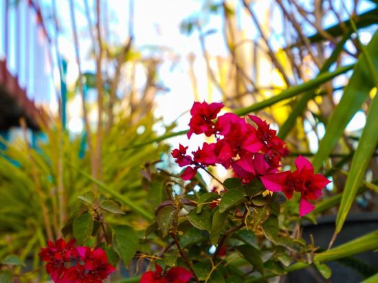 Фото Dahab Hostel