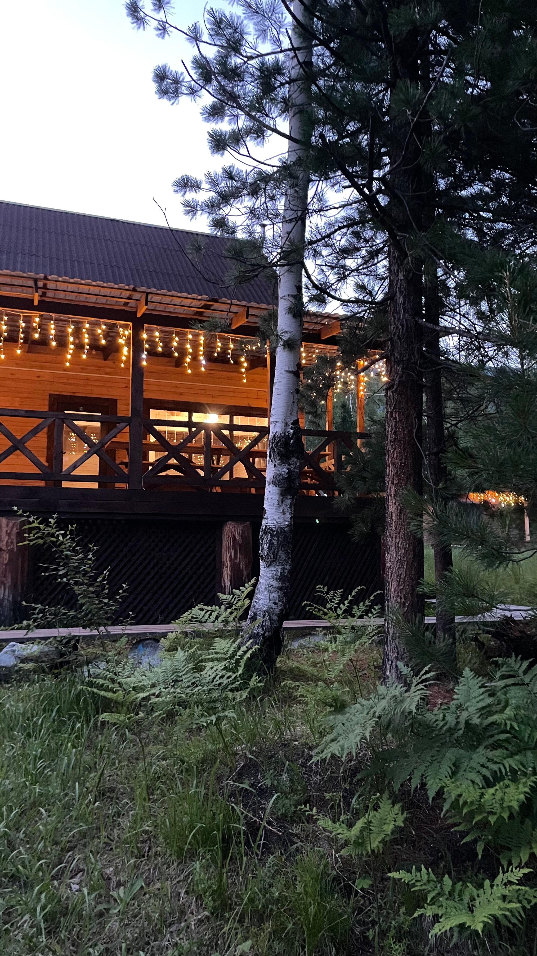 Фото Аршанский