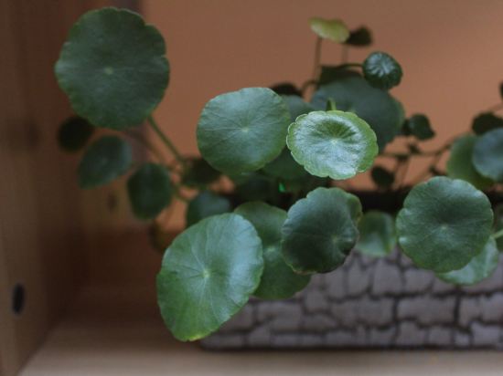 Фото Lin'an Academic Exchange Center