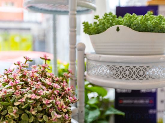 Фото 7 Days Inn Huayuanqiao Subway Station