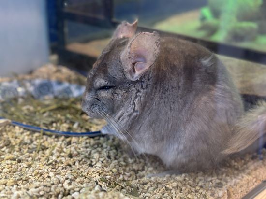 Фото Tianjin Polar Ocean Hotel