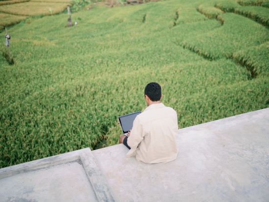 Фото Musa Canggu