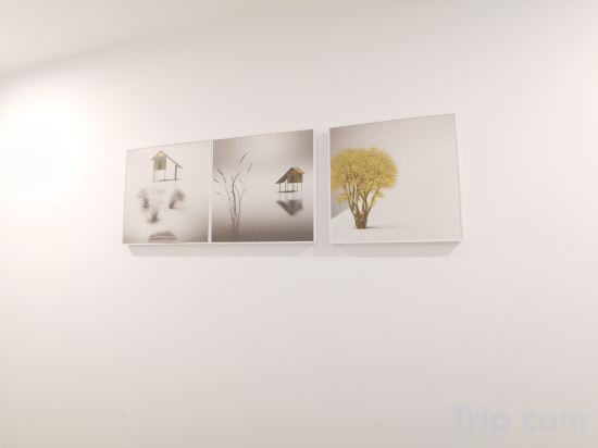 Фото Barbile E sports Hotel