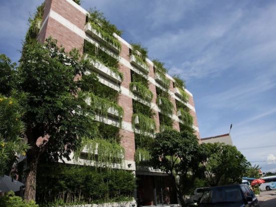 Фото Mulberry Collection Silk Eco