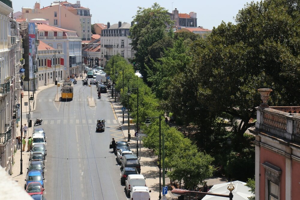 Фото Botanic Views Guest House