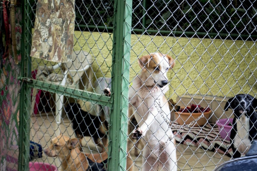 Фото Lands in Love Hotel