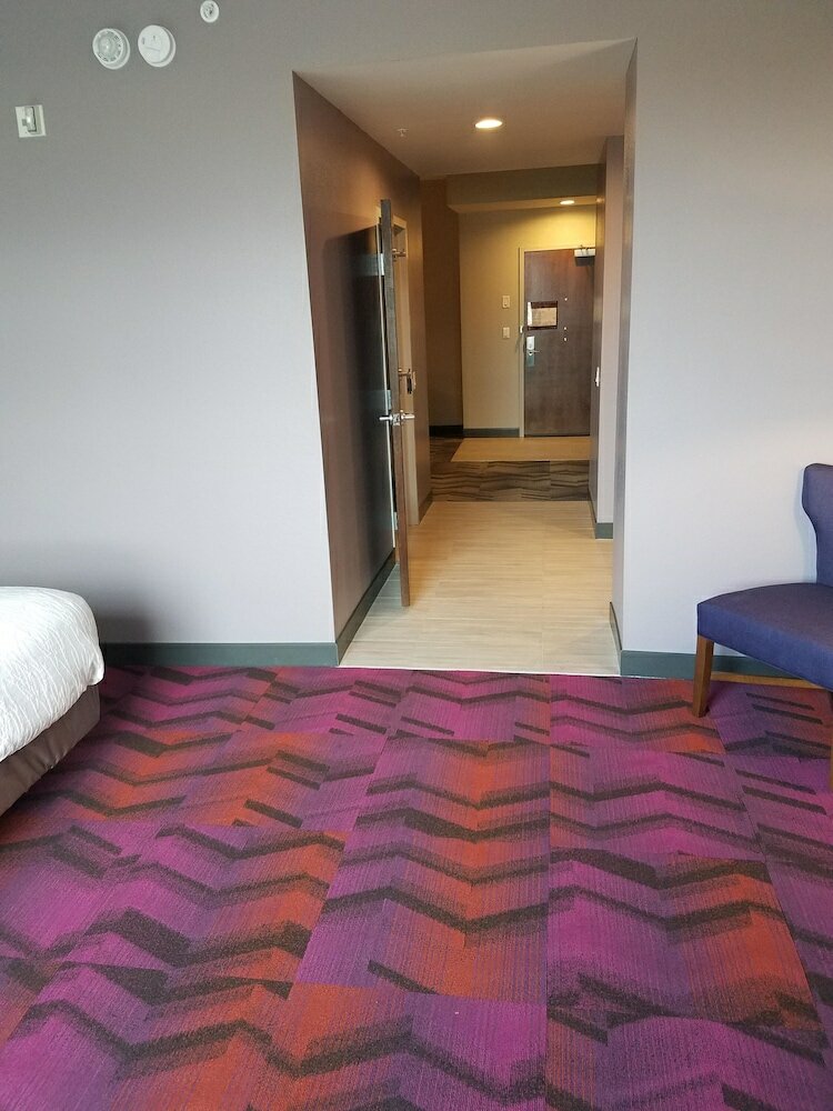 Фото Hilton Garden Inn Tampa Suncoast Parkway