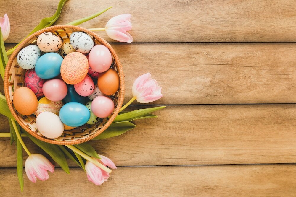 Фото Novum Hotel City Nord