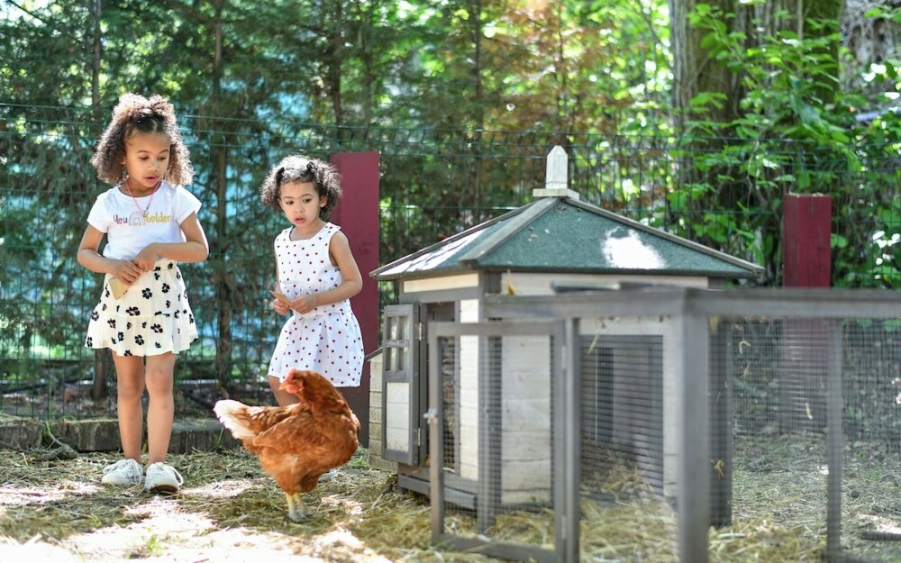Фото Mercure Château Fontainebleau Demeures de Campagne