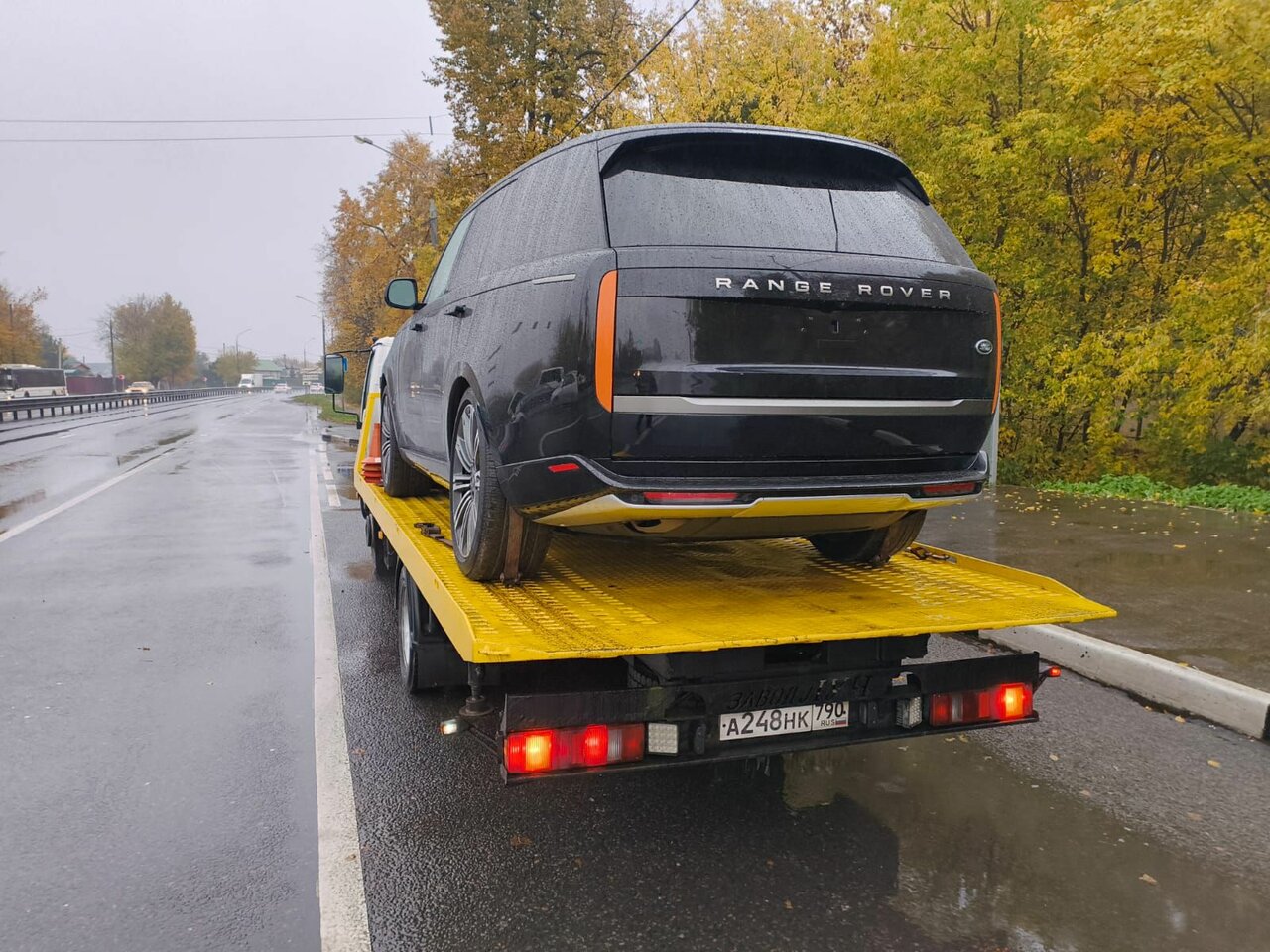 photo Синица