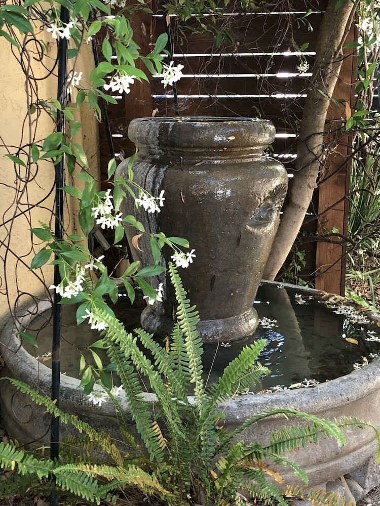 Фото Glen Ellen Inn