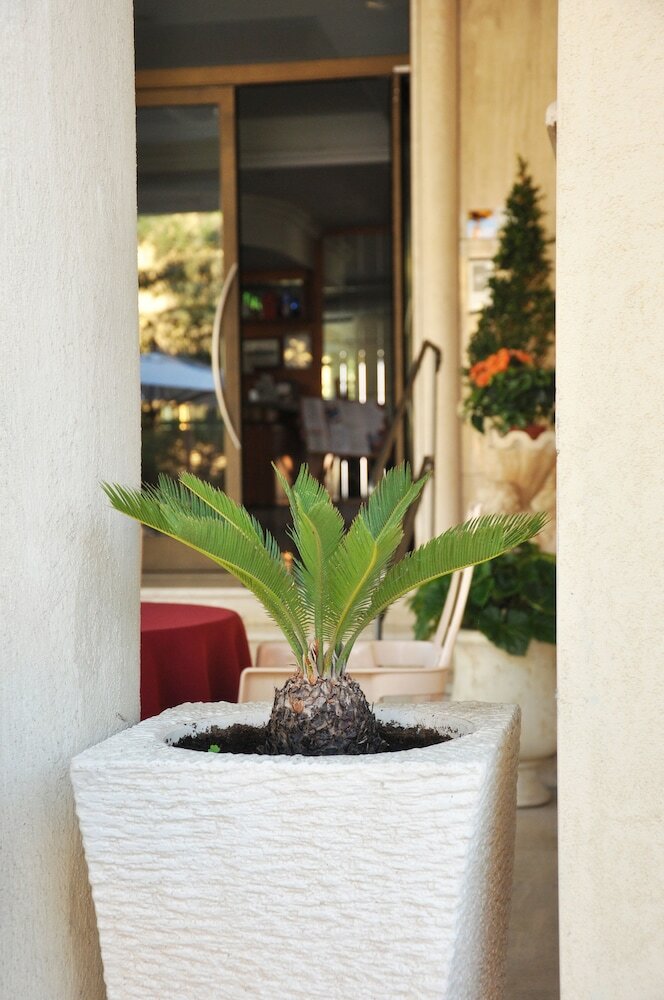 Фото Hotel dei Pini