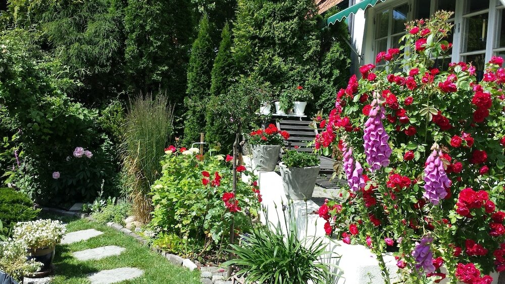 Фото Nya Pallas Hotel