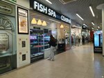 Fish SPA (ulitsa 25 Sentyabrya, 35А), beauty salon