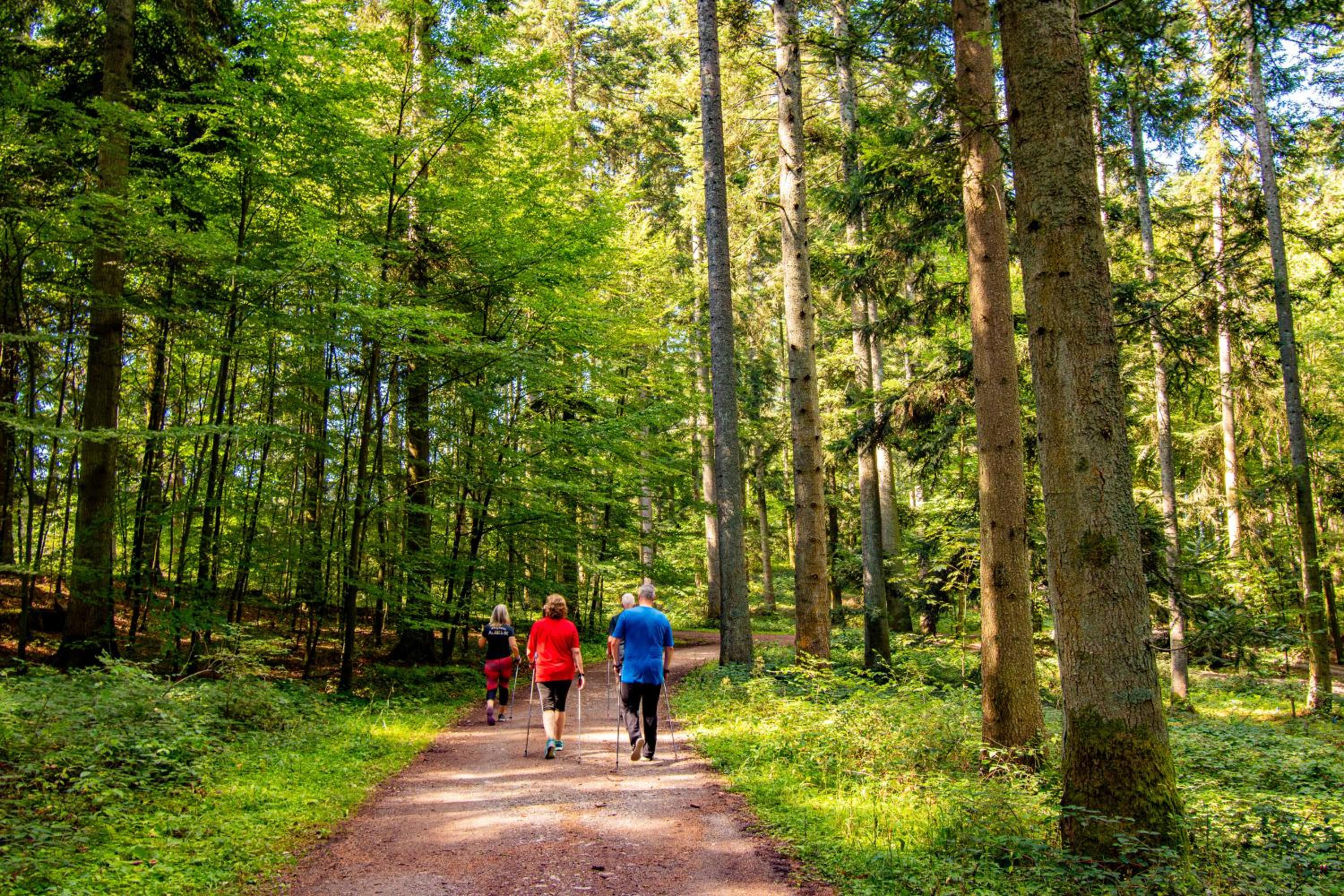 Фото Vital- und Wellnesshotel Albblick