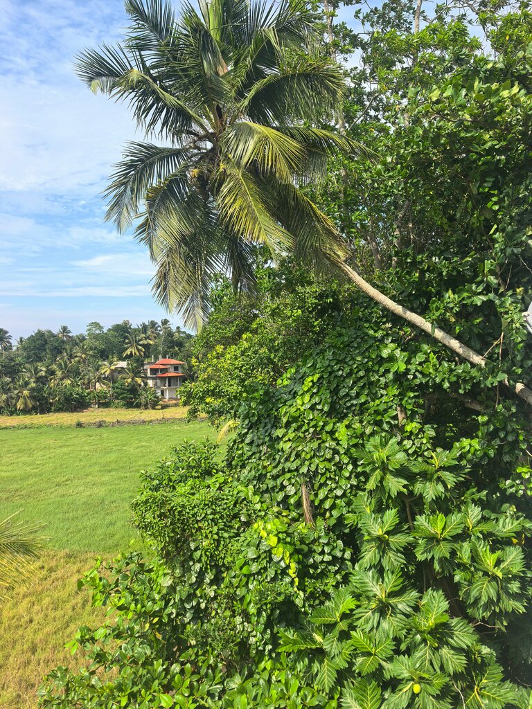 Hotel Green Edge Villa, Hikkaduwa, photo