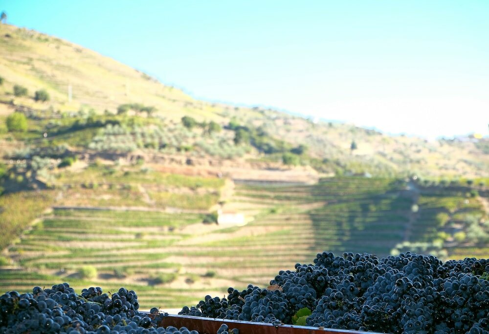 Фото Hotel Rural Quinta do Silval