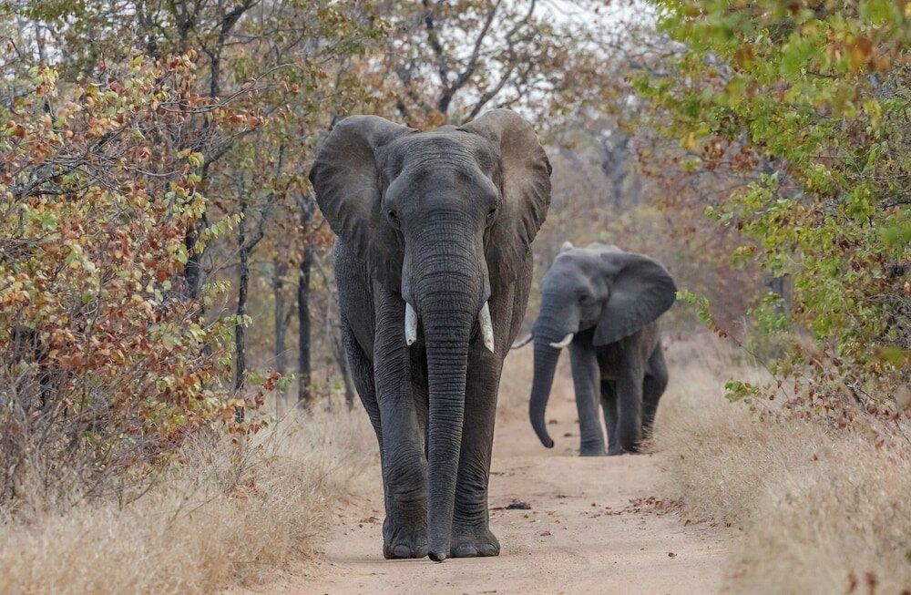 Фото Kruger Gate Hotel