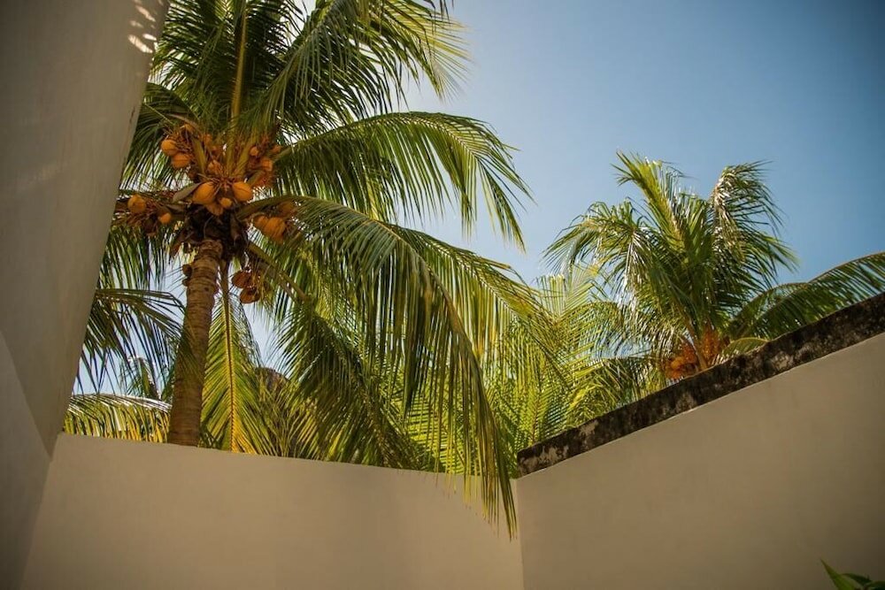 Фото Hotel Mayari Holbox