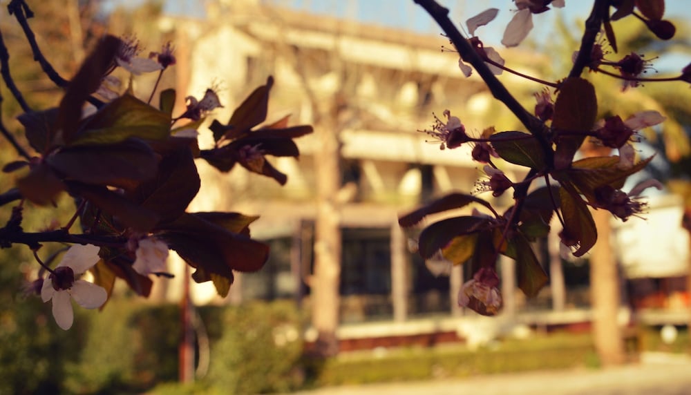 Фото Alexakis Hotel & SPA