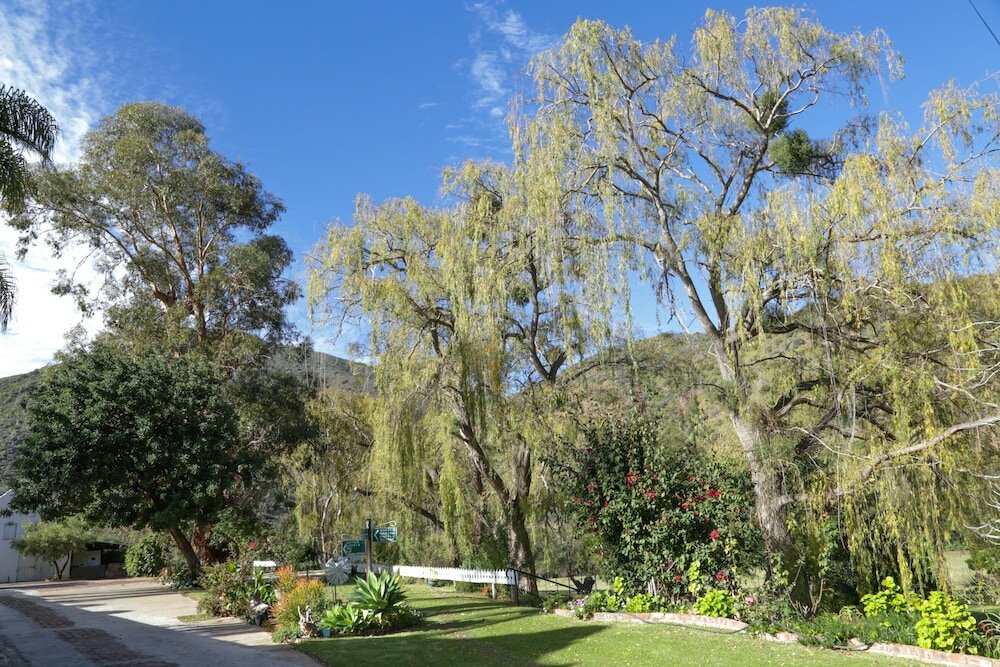 Фото De Oude Meul Country Lodge