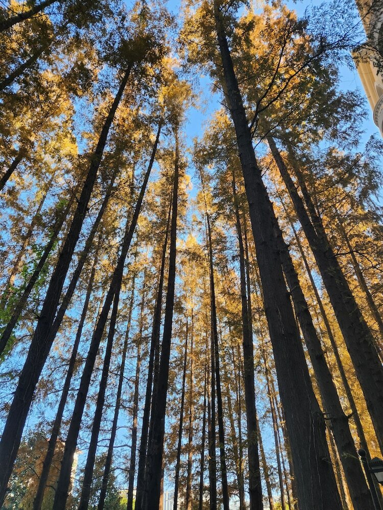 Фото Hongqiao State Guest Hotel Shanghai