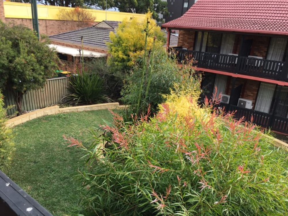 Фото Maclin Lodge Motel