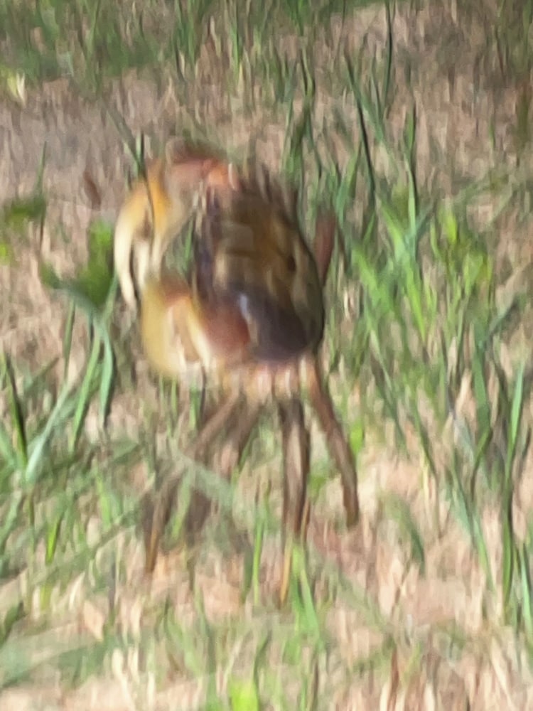 Фото Milk-ya Women-Only Guest House