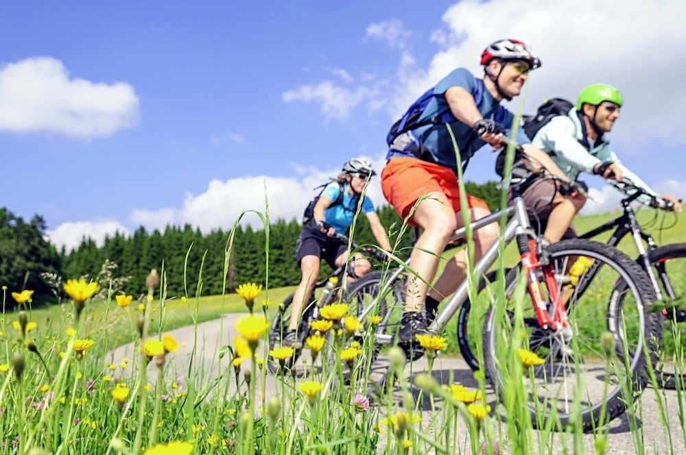 Фото Hotel Restaurant Vinothek Lamm