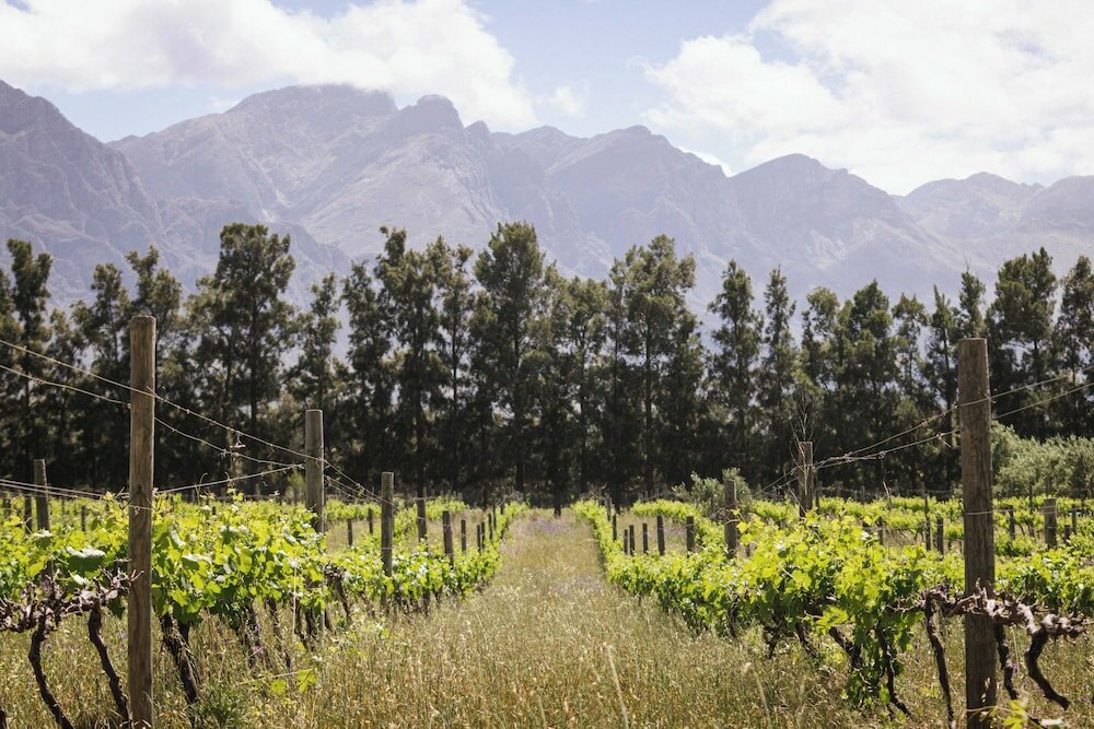 Фото Duikersdrift Winelands Country Escape