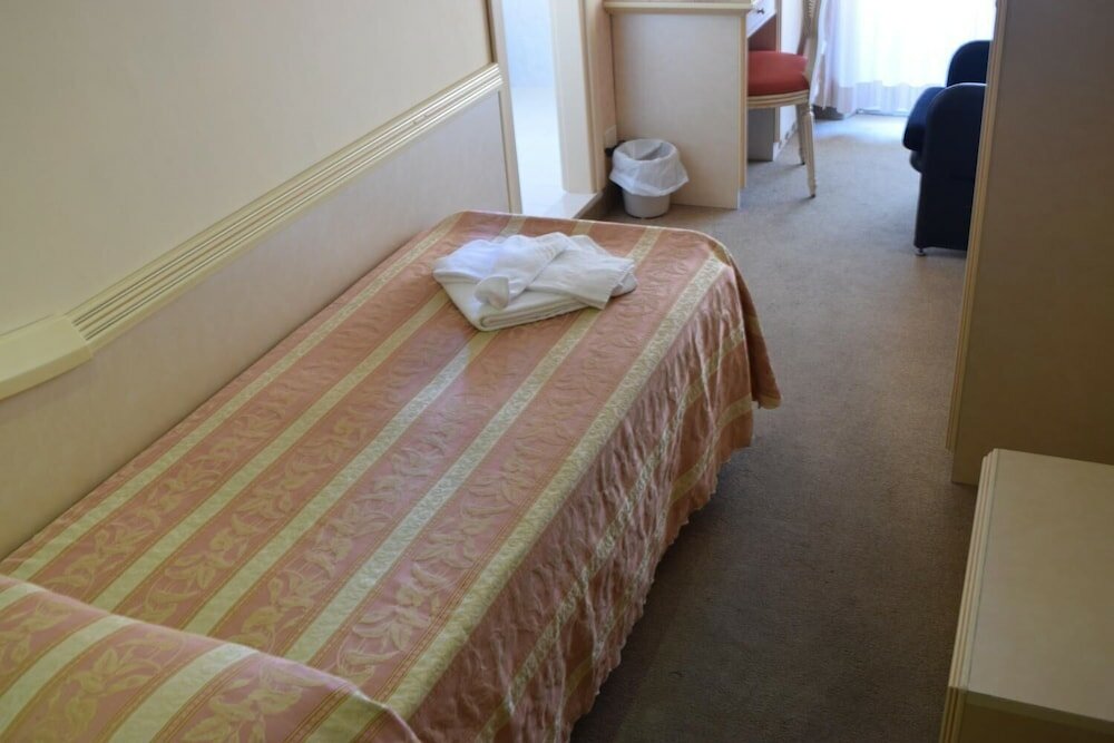 Фото Hotel Ariminum