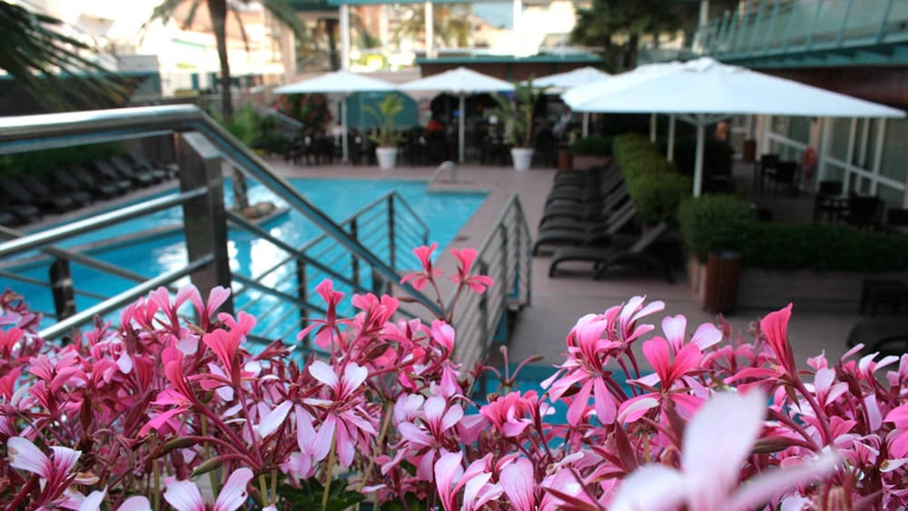 Фото Hotel Kaktus Playa