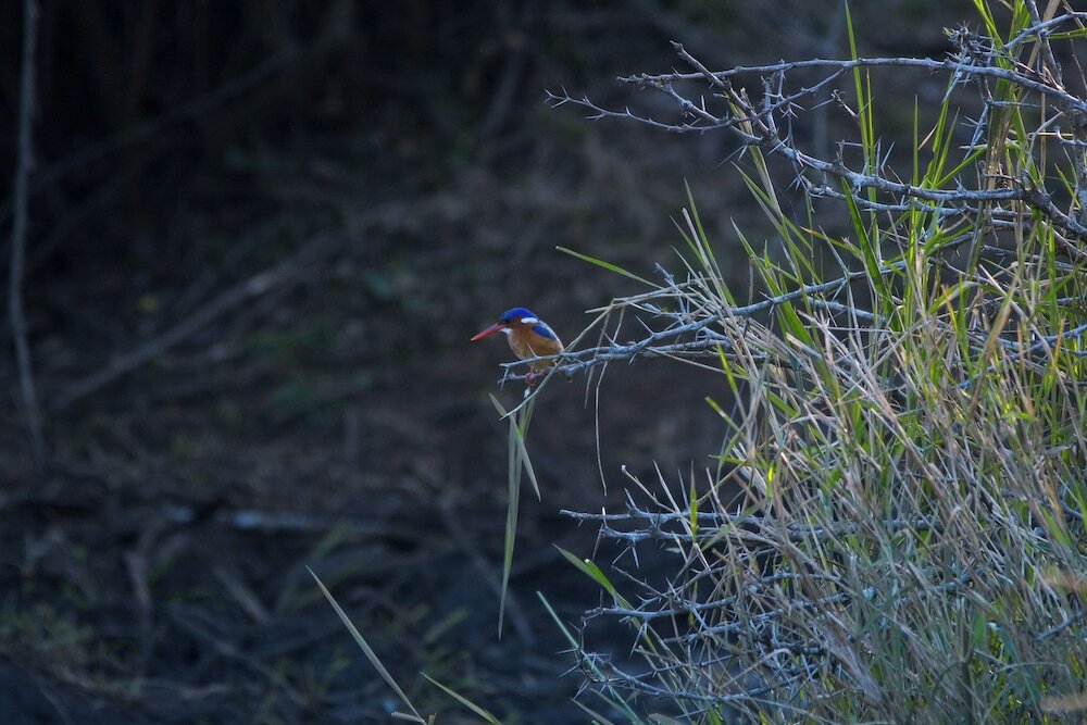 Фото Anew Hotel Hluhluwe
