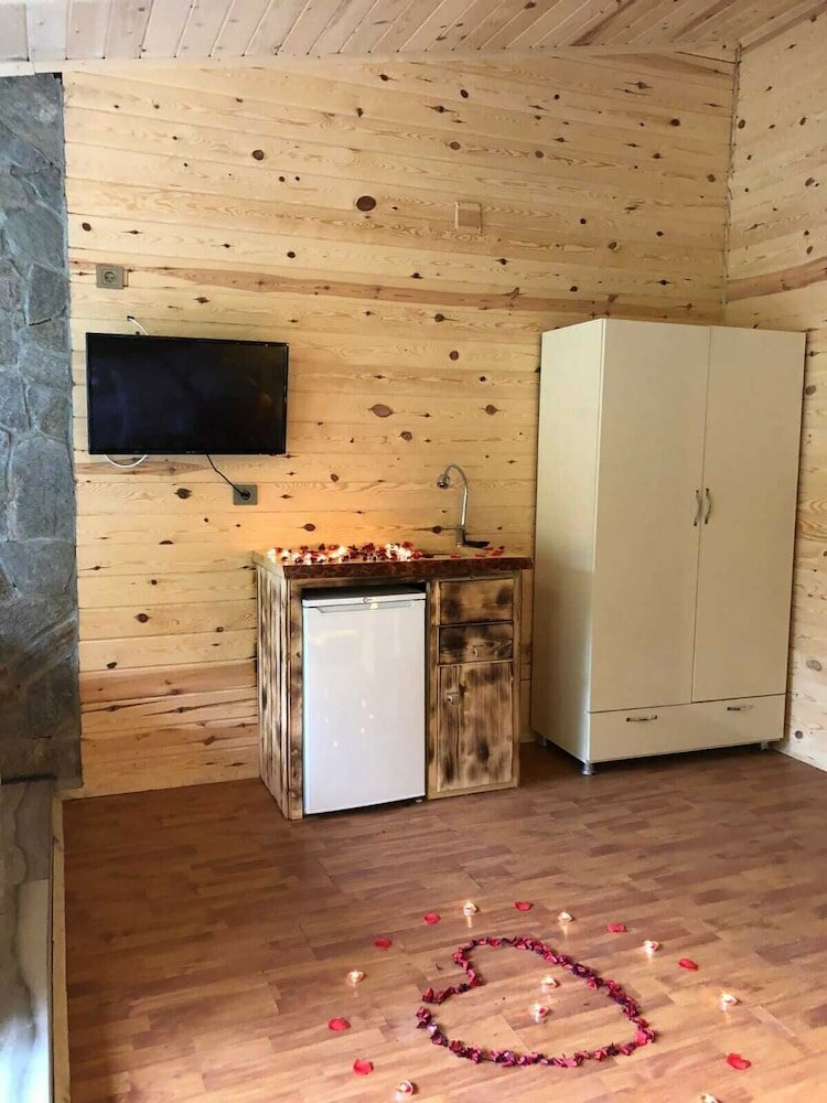 Фото Ayder Valley Palace