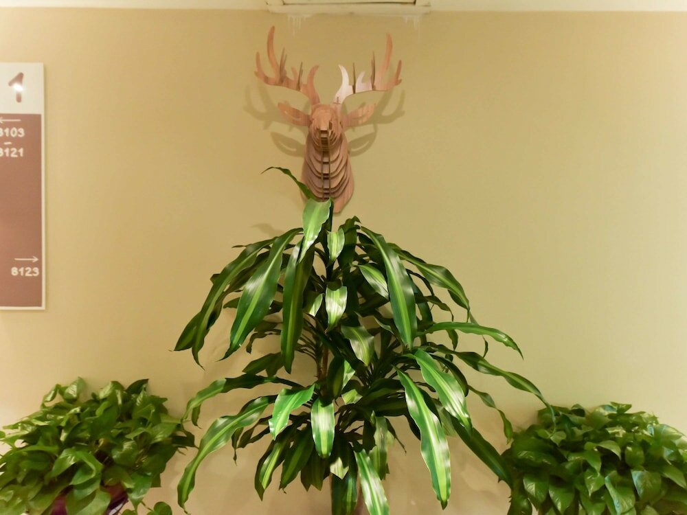 Фото Ibis Xiamen Kaiyuan