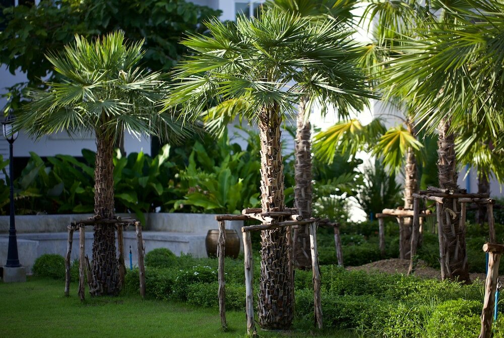 Фото Chez Bure - Bure Homestay