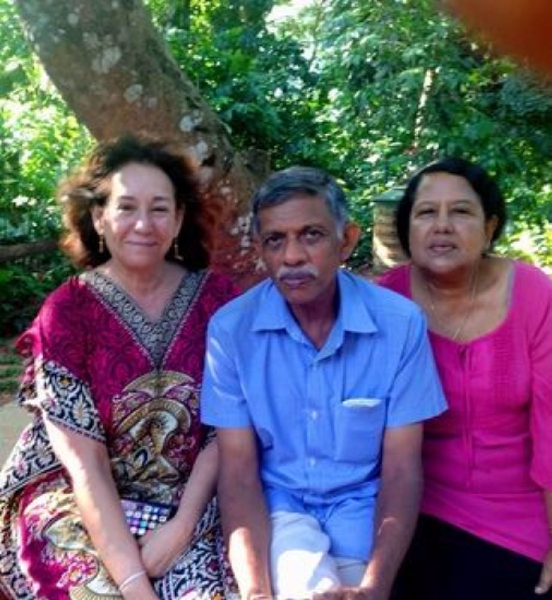 Фото Tree Breeze Inn