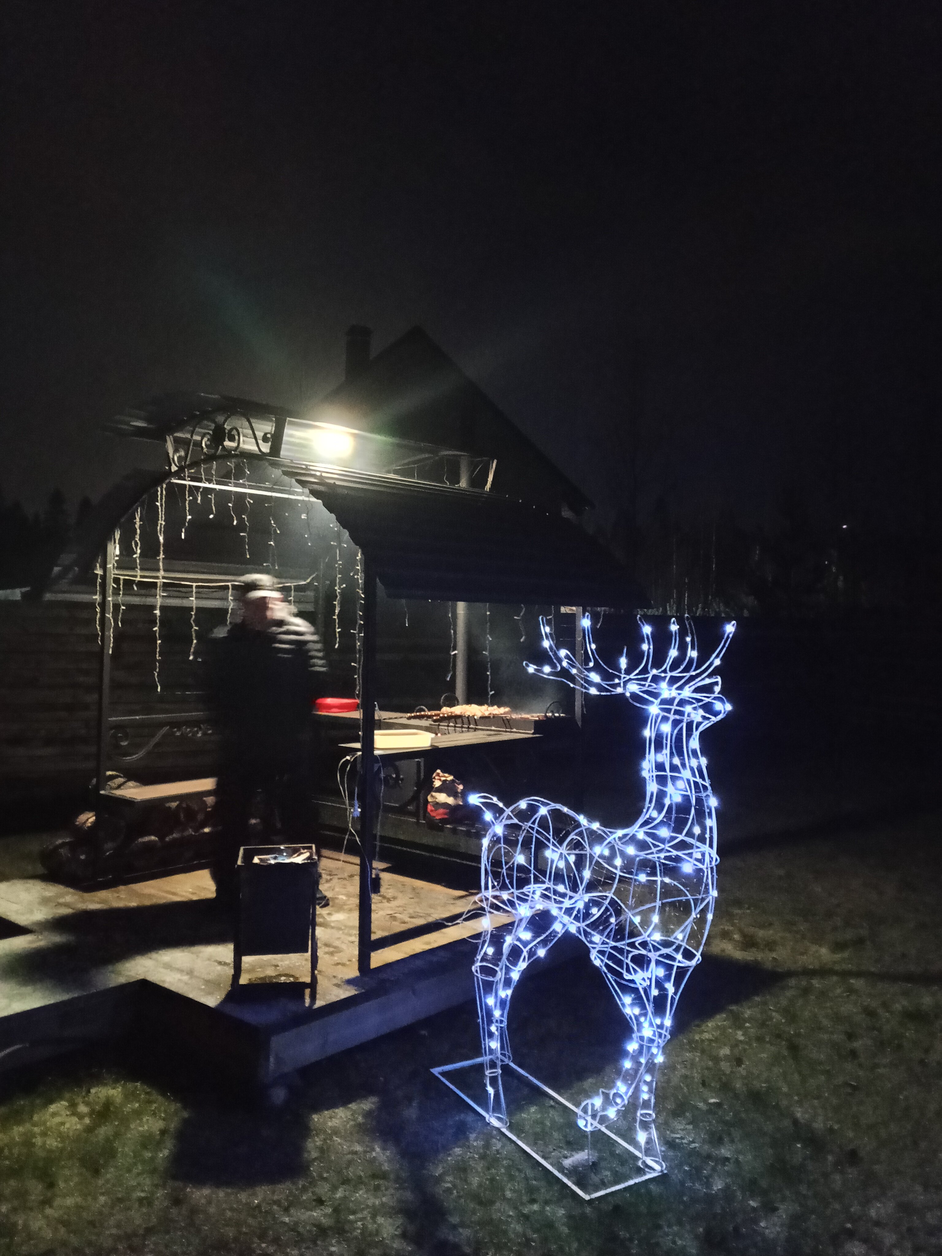 Фото Infinity Forest