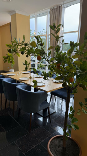 Restaurant Oliva, Anapa, photo